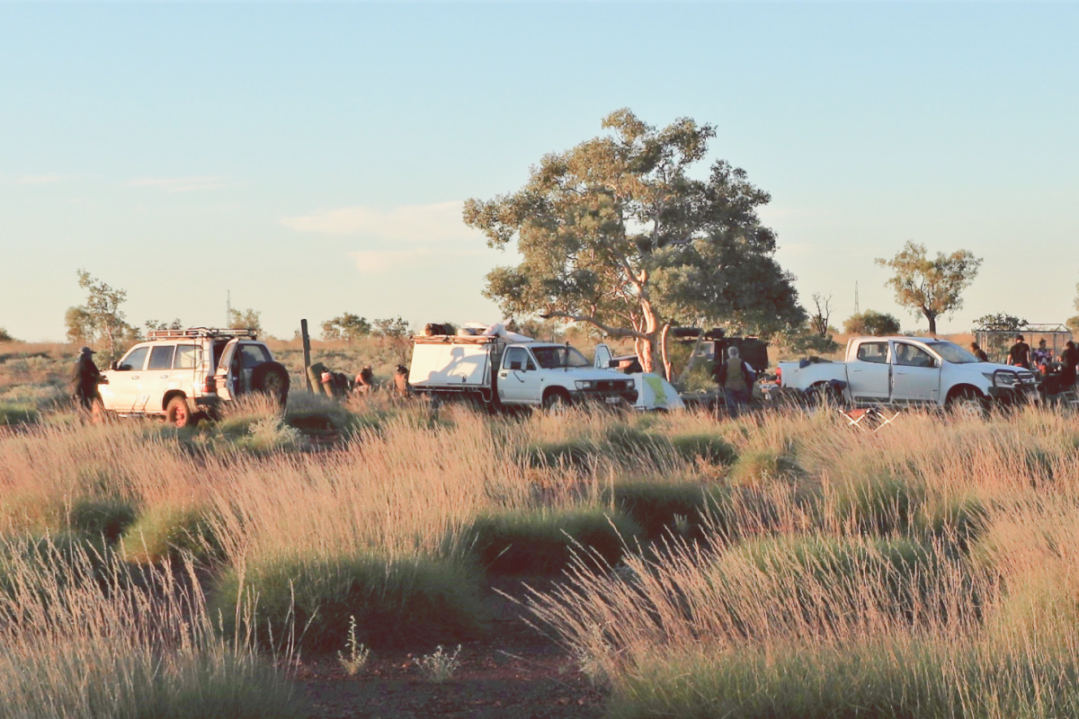 Organisation Gold Monthly