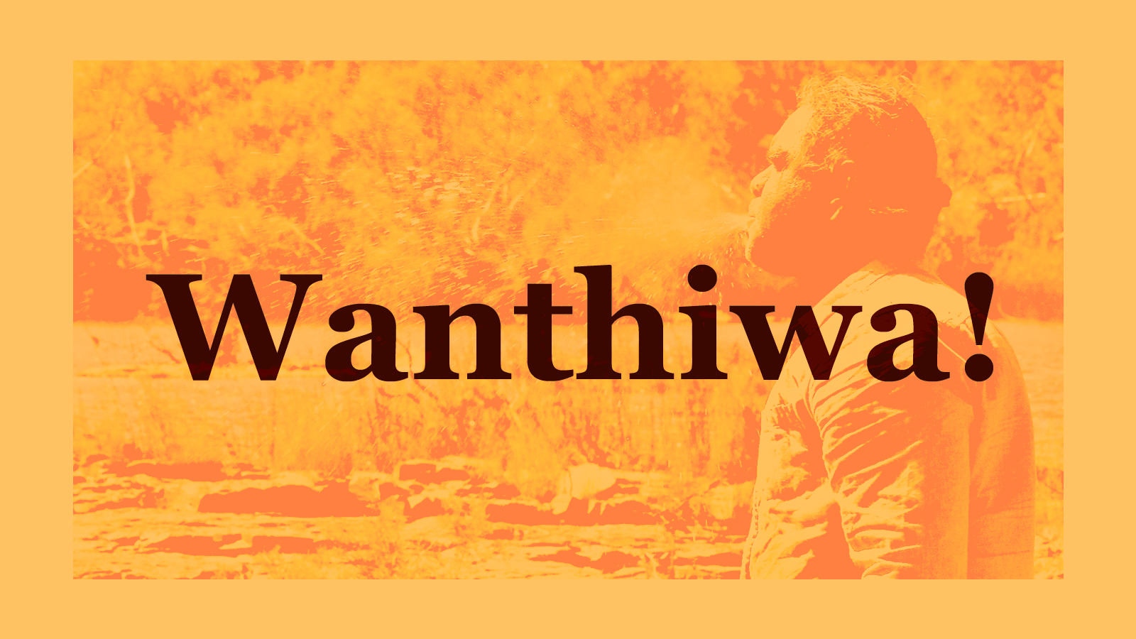 Yindjibarndi cultural awareness course